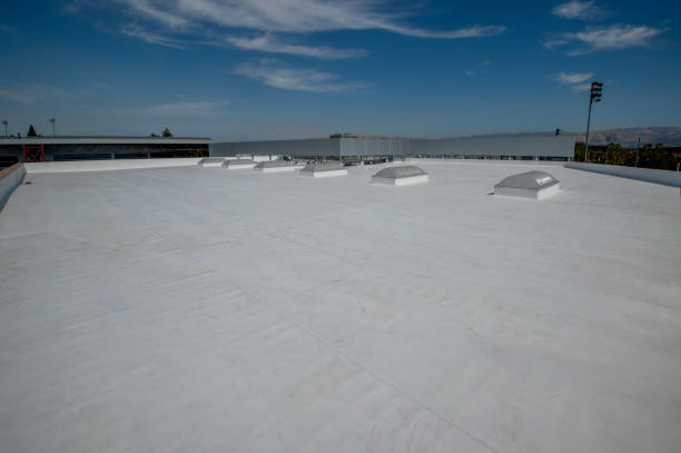 Best Roof Coating Services  in Palos Park, IL