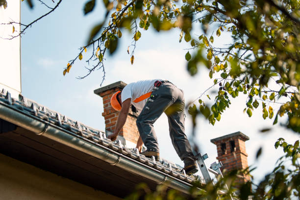 Roof Insulation in Palos Park, IL