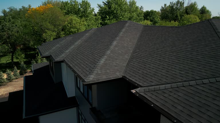 Best Skylight Installation and Repair  in Palos Park, IL