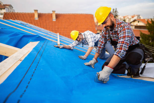 Best Flat Roofing  in Palos Park, IL