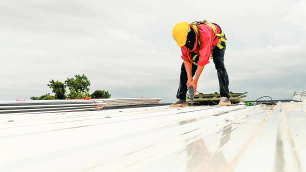 Best Steel Roofing  in Palos Park, IL