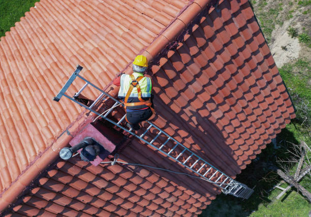 Best Roof Coating and Sealing  in Palos Park, IL