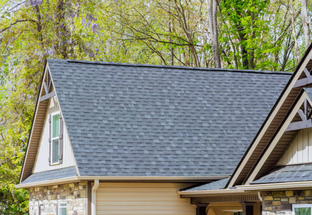 Best Steel Roofing  in Palos Park, IL