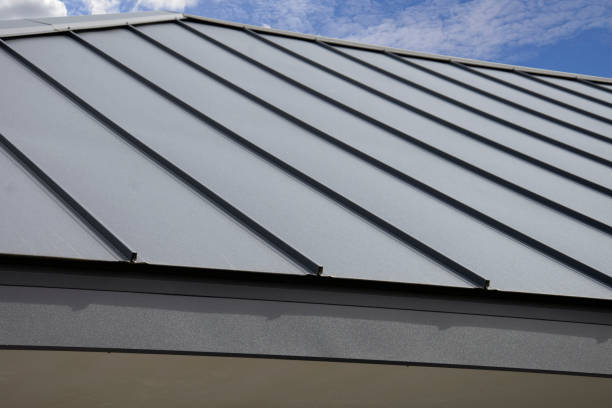 Best Sheet Metal Roofing  in Palos Park, IL